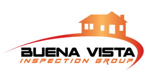 Buena Vista Inspection Group logo