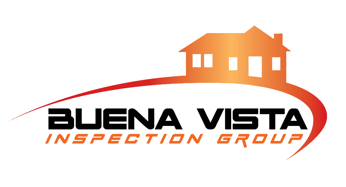 Buena Vista Inspection Group